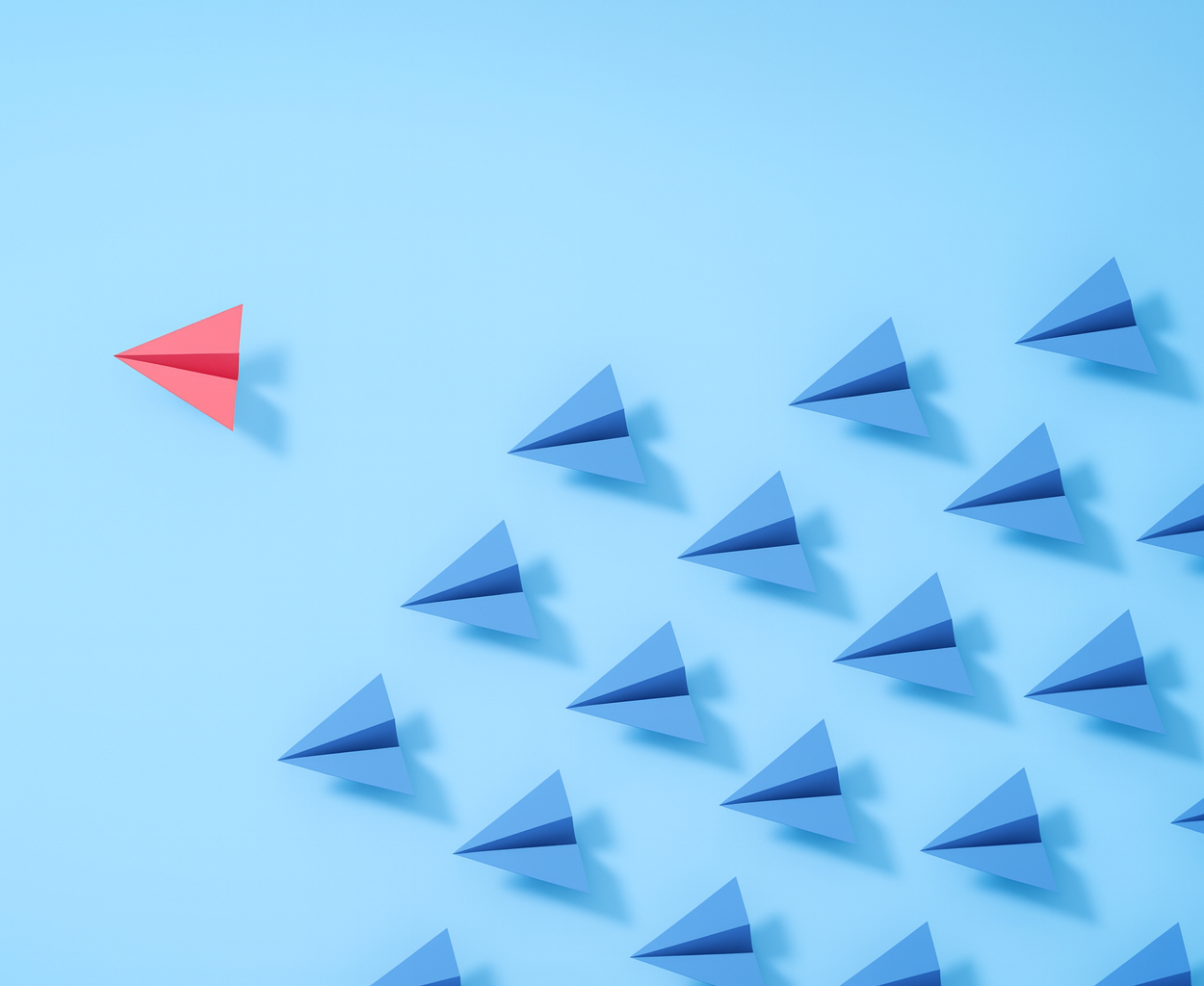 Илюстрация на програмата